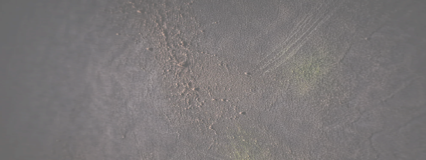 Background Texture